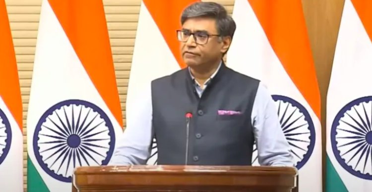India and Pakistan to stop all firing and military action: MEA