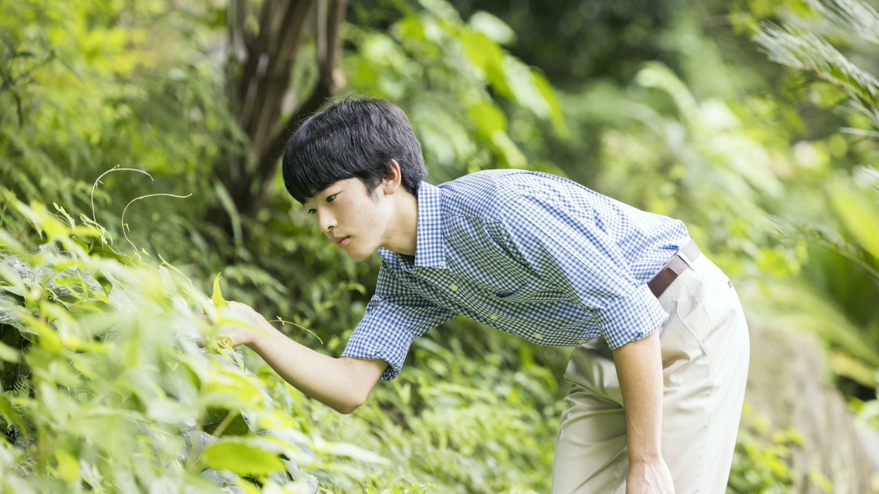  Prince Hisahito Turns 18: A Milestone for Japan’s Royal Family