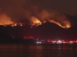 Japan Battles Largest Forest Fire in 30 Years A massive forest fire rages in Japan, marking the country’s most severe blaze in decades, prompting emergency response efforts and raising climate concerns.