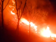 Quick Response Stops Forest Fire in Anantnag