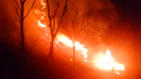 Quick Response Stops Forest Fire in Anantnag