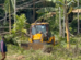 Massive Eviction Push in Barak Valley Forests