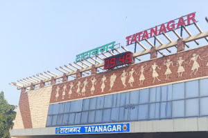 Panic at Tatanagar Rail Yard after leopard sighting